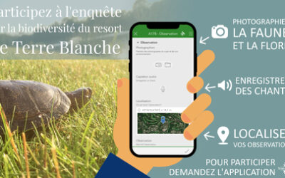 L’innovation au service de la biodiversité au Golf de Terre Blanche